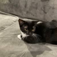 Photo of Baby & Belle