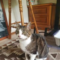 Photo of Boots