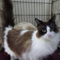 Photo of Avi And Pikachu