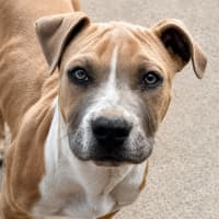 Photo of Finny