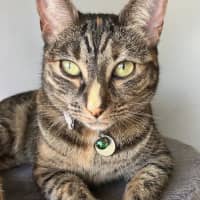 Photo of Jill