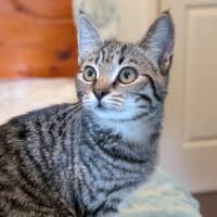 Photo of Lola