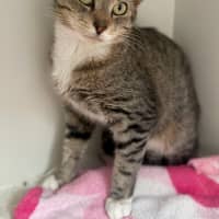 Photo of Arwen (9076)