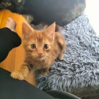 Photo of 🧡 G A R Y 🧡