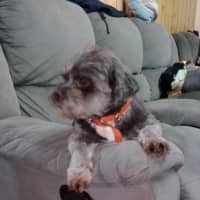 Photo of Bearboo And Melli