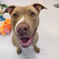 Photo of Kali