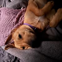 Photo of Winnie 