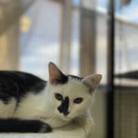 Photo of 🗼 Gilly 5927 🗼