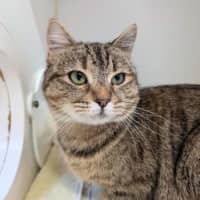 Photo of Sapphire