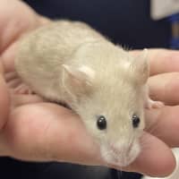Photo of Greg
