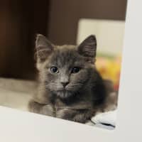 Photo of Wiggles 