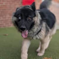 Photo of Tia
