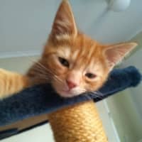 Photo of 🧡 G A R Y 🧡