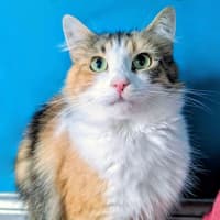 Photo of Belle
