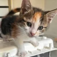 Photo of Mia