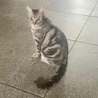 Photo of Cloud