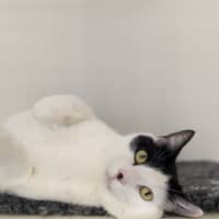 Photo of 🎠 Clancy 5624 🎠