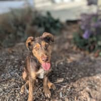 Photo of 🌳 Trevor 5939 🌳