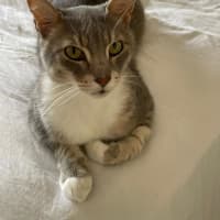 Photo of Zen