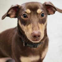 Photo of 🥨 Hilde 5390 🥨