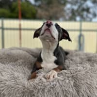 Photo of Katie