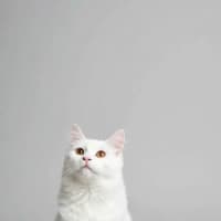 Photo of Yuki