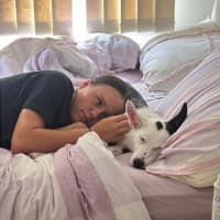 Photo of Gemma   9 Month Old Border Collie X