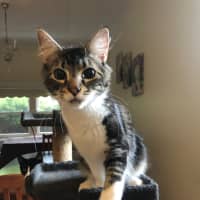 Photo of Truffle