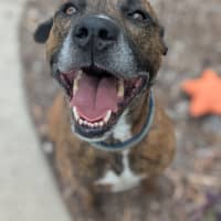 Photo of 🛶 Laszlo 5824 🛶