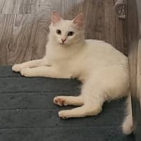 Photo of Snowy