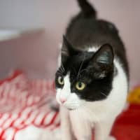 Photo of Lydia