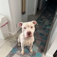Photo of Lucy