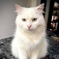 Photo of Max