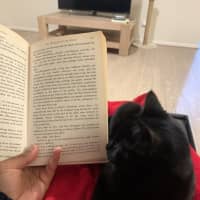 Photo of Nala (Was Wilma)