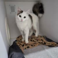 Photo of Tilly