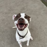 Photo of Xena 