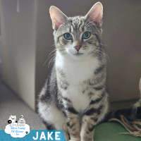 Photo of Jake