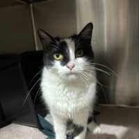 Photo of Marcie