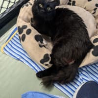 Photo of Coal