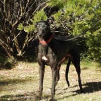 Photo of Heidi