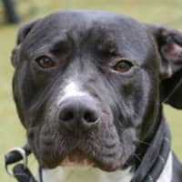 Photo of Zeus