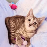 Photo of Splash And Shiny 