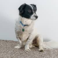 Photo of Sam Jablonski