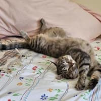 Photo of Miss Smooch