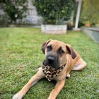 Photo of Liam O’cleary