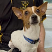 Photo of Max