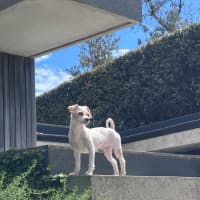 Photo of Polly