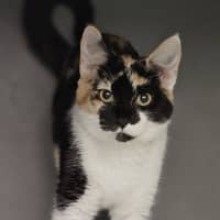 Photo of Myah