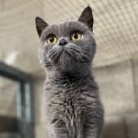 Photo of Fafa And Britt