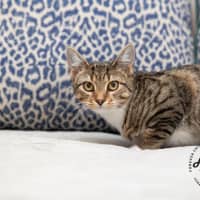 Photo of Eleanor 🌼